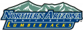 Northern Arizona Lumberjacks 2005-2013 Wordmark Logo Sticker Heat Transfer