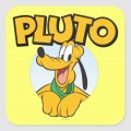 Pluto Logo 15 Sticker Heat Transfer
