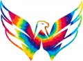 Washington Capitals rainbow spiral tie-dye logo decal sticker