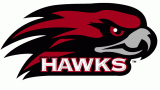 St.JosephsHawks 2001-Pres Alternate Logo decal sticker