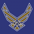 Airforce Baltimore Ravens Logo decal sticker