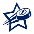 tampa bay lightning Hockey Goal Star logo Sticker Heat Transfer