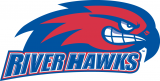 UMass Lowell River Hawks 2005-Pres Secondary Logo decal sticker