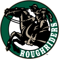 Cedar Rapids RoughRiders 2011 12-Pres Alternate Logo Sticker Heat Transfer