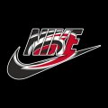 Carolina Hurricanes Nike logo Sticker Heat Transfer
