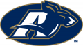 Akron Zips 2002-Pres Secondary Logo decal sticker