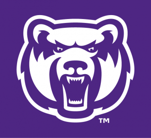 Central Arkansas Bears 2009-Pres Alternate Logo 10 Sticker Heat Transfer