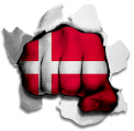 Fist Denmark Flag Logo Sticker Heat Transfer