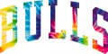 Chicago Bulls rainbow spiral tie-dye logo decal sticker