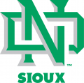 North Dakota Fighting Hawks 2012-2015 Alternate Logo 02 Sticker Heat Transfer