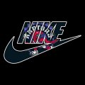 Toronto Raptors Nike logo Sticker Heat Transfer