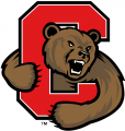 Cornell Big Red 2002-Pres Primary Logo decal sticker