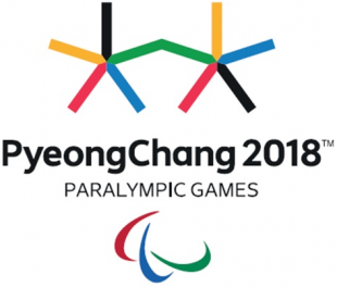 2018 Pyeongchang Paralympics 2018 Primary Logo Sticker Heat Transfer