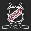 Hockey Arizona Coyotes Logo decal sticker