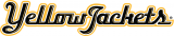 AIC Yellow Jackets 2009-Pres Wordmark Logo decal sticker