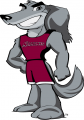 Southern Illinois Salukis 2006-2018 Mascot Logo 07 decal sticker