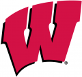 Wisconsin Badgers 1991-Pres Primary Logo decal sticker