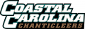 Coastal Carolina Chanticleers 2002-Pres Wordmark Logo decal sticker