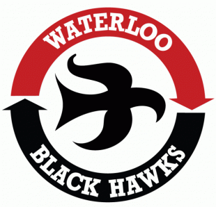 Waterloo Black Hawks 1979 80-2006 07 Primary Logo decal sticker