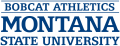 Montana State Bobcats 1997-2012 Wordmark Logo decal sticker