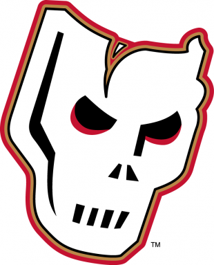 Calgary Hitmen 2009 10-Pres Alternate Logo decal sticker