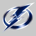 Tampa Bay Lightning Stainless steel logo Sticker Heat Transfer