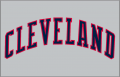 Cleveland Indians 1989-1993 Jersey Logo decal sticker