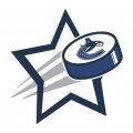 Vancouver Canucks Hockey Goal Star logo Sticker Heat Transfer