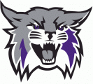 Weber State Wildcats 2012-Pres Primary Logo decal sticker