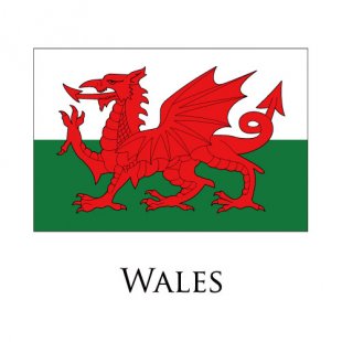 Wales flag logo Sticker Heat Transfer