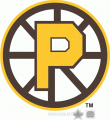 Providence Bruins 2009 10 Alternate Logo Sticker Heat Transfer