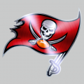 Tampa Bay Buccaneers Stainless steel logo decal sticker