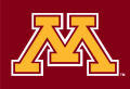 Minnesota Golden Gophers 1986-Pres Alternate Logo 07 Sticker Heat Transfer