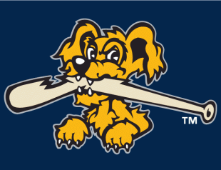 Charleston Riverdogs 2011-2015 Cap Logo 2 Sticker Heat Transfer