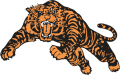 Princeton Tigers 1984-Pres Alternate Logo 01 decal sticker