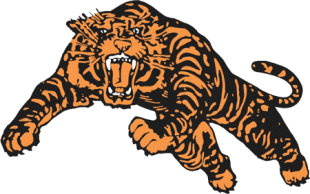 Princeton Tigers 1984-Pres Alternate Logo 01 Sticker Heat Transfer