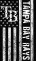 Tampa Bay Rays Black And White American Flag logo decal sticker