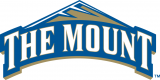 Mount St. Marys Mountaineers 2004-Pres Primary Logo decal sticker