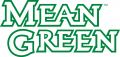 North Texas Mean Green 2005-Pres Wordmark Logo 03 decal sticker