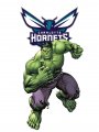 Charlotte Hornets Hulk Logo Sticker Heat Transfer