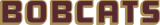Texas State Bobcats 2008-Pres Wordmark Logo 02 decal sticker