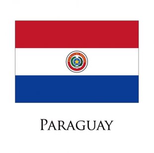 Paraguay flag logo Sticker Heat Transfer