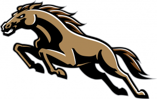 Western Michigan Broncos 1998-2015 Alternate Logo Sticker Heat Transfer