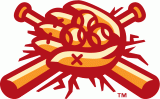 Boise Hawks 2007-Pres Alternate Logo 2 Sticker Heat Transfer