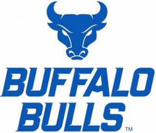 Buffalo Bulls 2016-Pres Alternate Logo Sticker Heat Transfer
