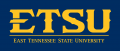 ETSU Buccaneers 2014-Pres Wordmark Logo 11 Sticker Heat Transfer