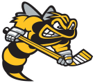 Sarnia Sting 2019 20-Pres Primary Logo decal sticker