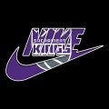Sacramento Kings Nike logo decal sticker
