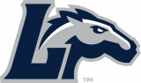 Longwood Lancers 2014-Pres Secondary Logo 01 decal sticker