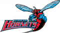 Delaware State Hornets 2004-Pres Alternate Logo decal sticker